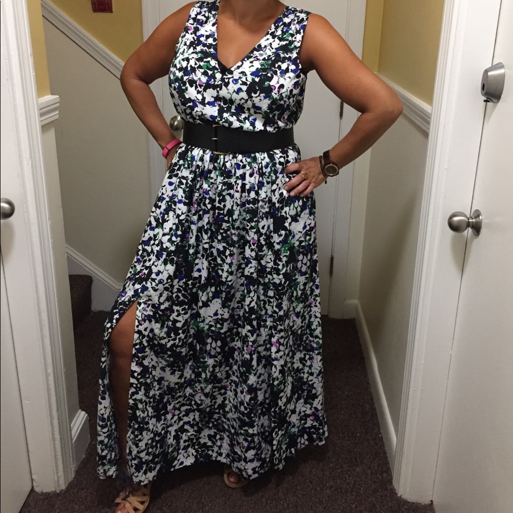 Banana Republic garden party dress